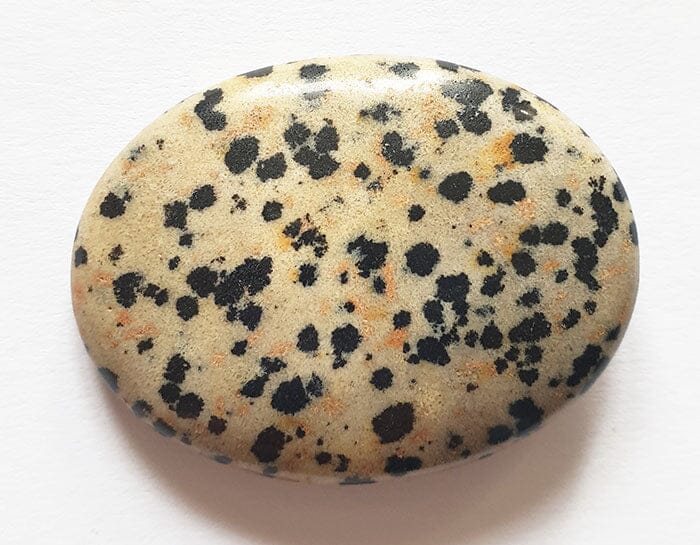 Dalmatian Jasper Thumb Stone - Cut & Polished Crystals > Polished Crystal Thumb Stones