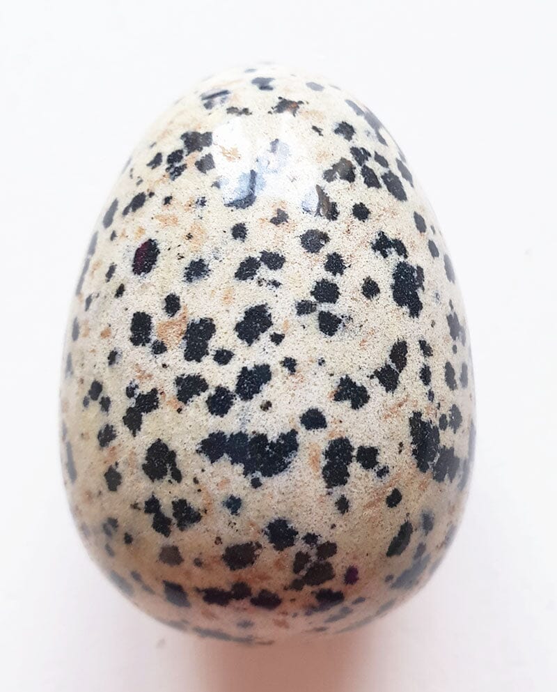 Dalmation Jasper Egg - Crystal Carvings > Polished Crystal Eggs