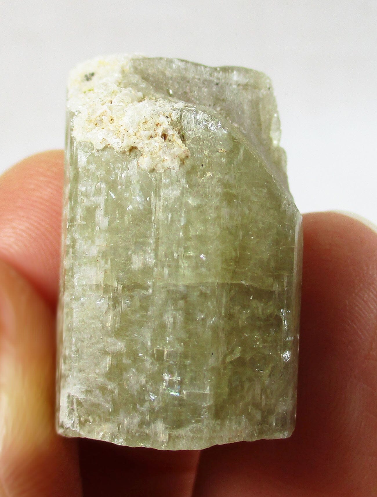 Green Apatite Raw Rod Section - Natural Crystals > Raw Crystal Chunks