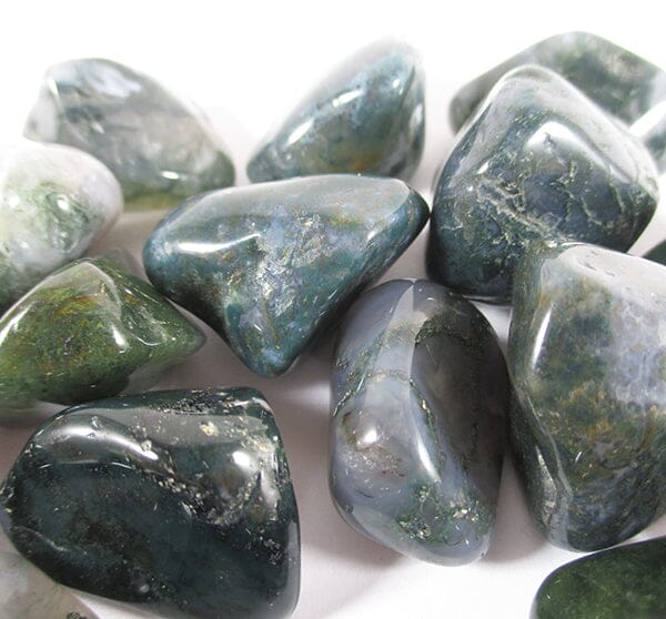 Moss Agate Tumble Stones (x3) - Cut & Polished Crystals > Polished Crystal Tumble Stones
