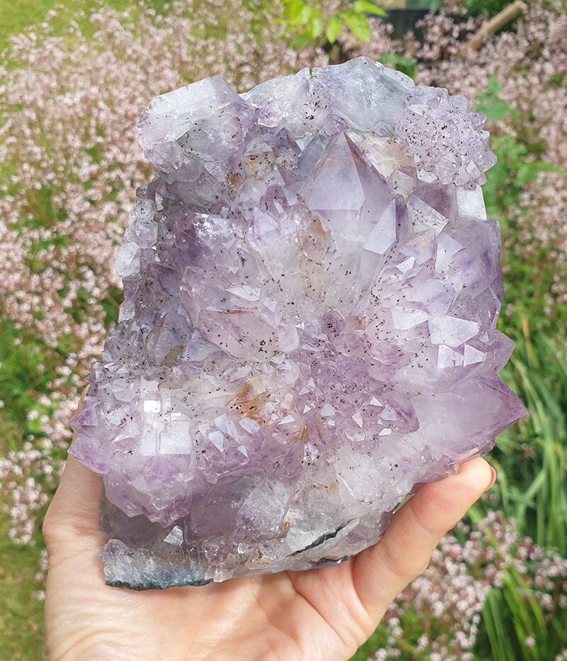 Naturally Formed Amethyst Flower Cluster - Natural Crystals > Natural Crystal Clusters
