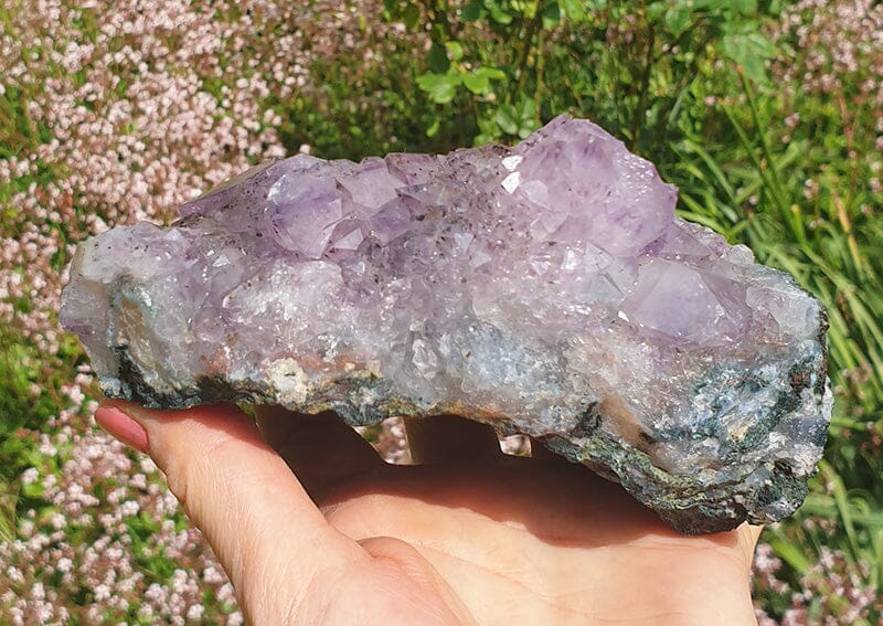 Naturally Formed Amethyst Flower Cluster - Natural Crystals > Natural Crystal Clusters