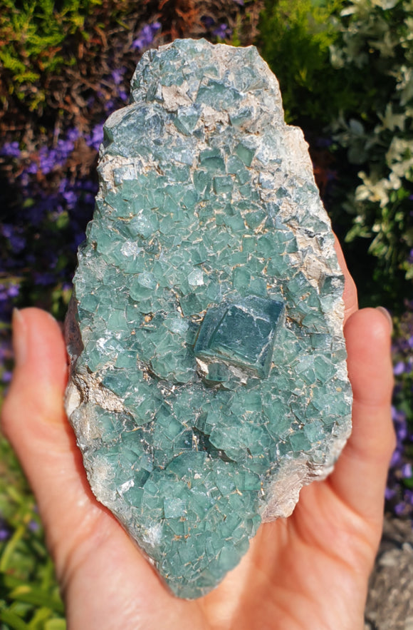 Natural Green Fluorite Cubic Cluster | Natural Crystals | Natural Crystal Clusters