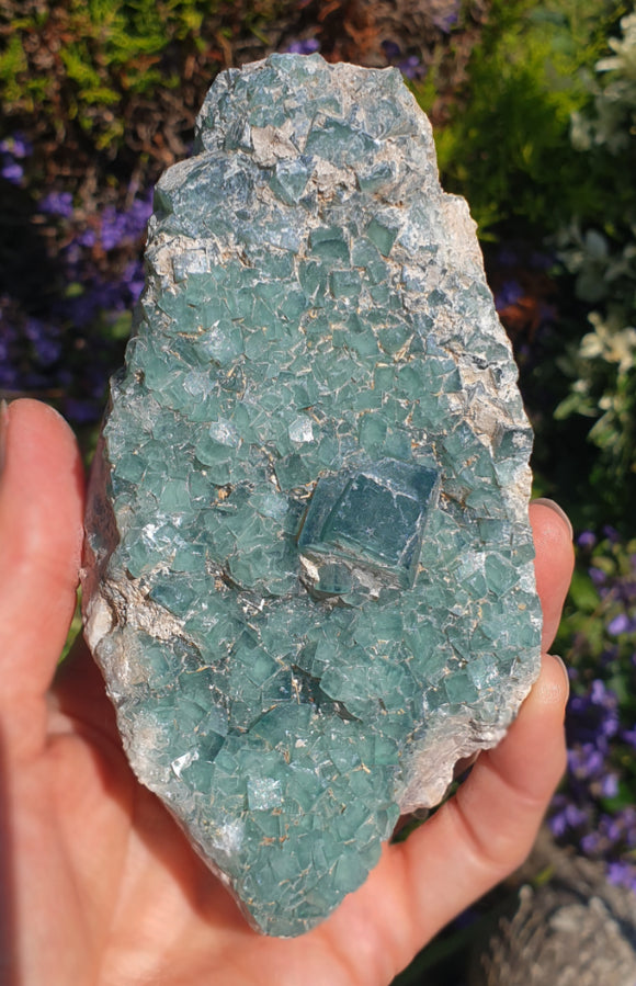 Natural Green Fluorite Cubic Cluster | Natural Crystals | Natural Crystal Clusters