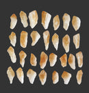 Citrine Point x 1 | Cut & Polished Crystals | Crystal Obelisks & Natural Points
