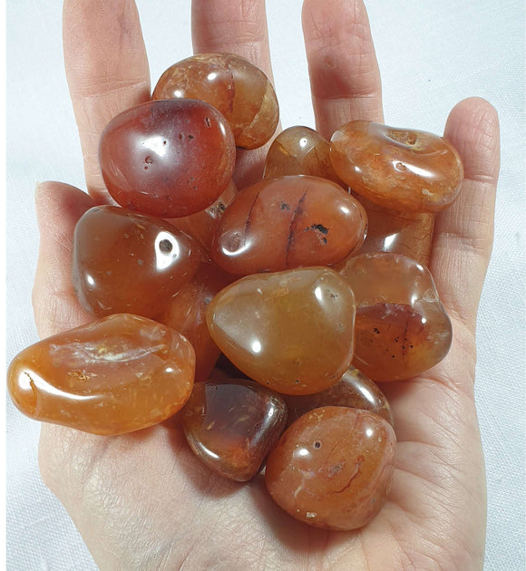 Rough Carnelian Tumble Stones (x3) large | Cut & Polished Crystals | Polished Crystal Tumble Stones