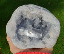 Celestite Geode (Large) | Natural Crystals | Crystal Geodes