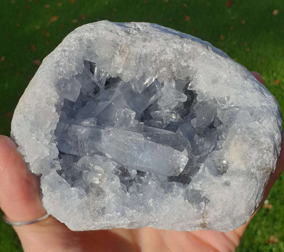 Celestite Geode (Large) | Natural Crystals | Crystal Geodes