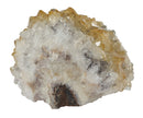 Upright Rough Citrine Cluster | Natural Crystals | Natural Crystal Clusters