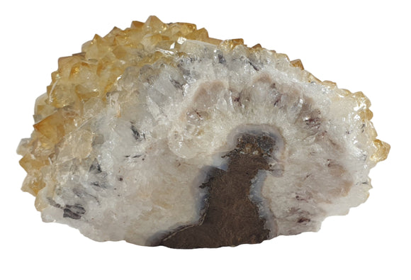 Upright Rough Citrine Cluster | Natural Crystals | Natural Crystal Clusters