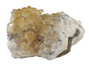 Upright Rough Citrine Cluster | Natural Crystals | Natural Crystal Clusters