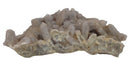 Spirit Quartz Cluster | Natural Crystals | Natural Crystal Clusters