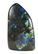 Labradorite Standing Freeform (Large) | Cut & Polished Crystals | Polished Freeform Crystals