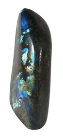 Labradorite Standing Freeform (Large) | Cut & Polished Crystals | Polished Freeform Crystals