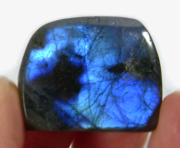 MIni Labradorite Electric Blue Freeform | Cut & Polished Crystals | Polished Freeform Crystals