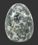 Tree Jasper Crystal Egg | Crystal Carvings | Polished Crystal Eggs