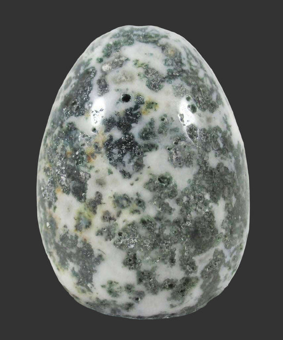 Tree Jasper Crystal Egg | Crystal Carvings | Polished Crystal Eggs