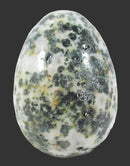 Tree Jasper Crystal Egg | Crystal Carvings | Polished Crystal Eggs