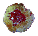Fire Rainbow Quartz Geode (S/M) | Natural Crystals | Crystal Geodes