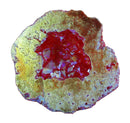 Fire Rainbow Quartz Geode (S/M) | Natural Crystals | Crystal Geodes