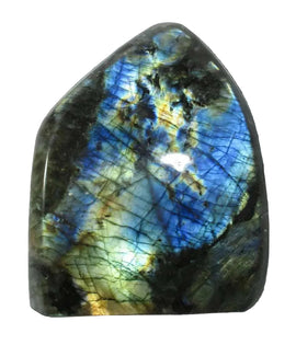 Blue Gold Flash Labradorite Freeform Large | Cut & Polished Crystals | Polished Freeform Crystals