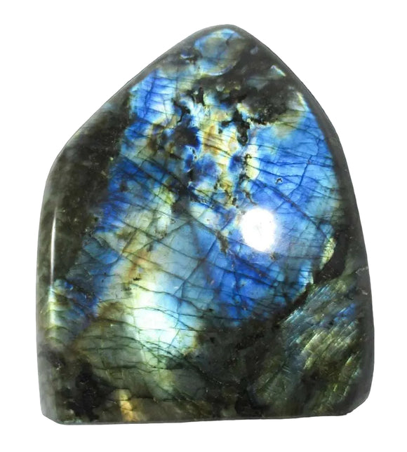 Blue Gold Flash Labradorite Freeform Large | Cut & Polished Crystals | Polished Freeform Crystals