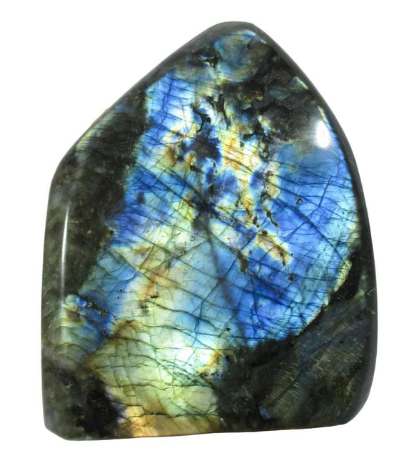 Blue Gold Flash Labradorite Freeform Large | Cut & Polished Crystals | Polished Freeform Crystals
