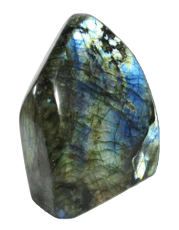 Blue Gold Flash Labradorite Freeform Large | Cut & Polished Crystals | Polished Freeform Crystals