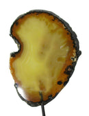 Natural Agate Standing Slice | Natural Crystals | Crystal Geodes