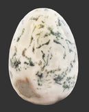 Tree Jasper Crystal Egg | Crystal Carvings | Polished Crystal Eggs