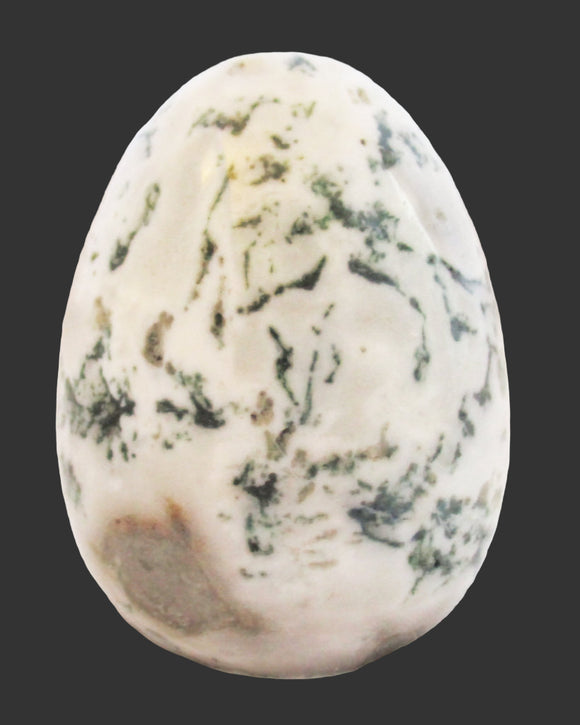 Tree Jasper Crystal Egg | Crystal Carvings | Polished Crystal Eggs