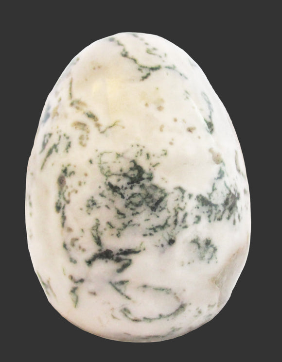 Tree Jasper Crystal Egg | Crystal Carvings | Polished Crystal Eggs