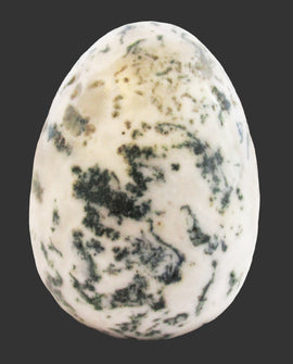 Tree Jasper Crystal Egg | Crystal Carvings | Polished Crystal Eggs
