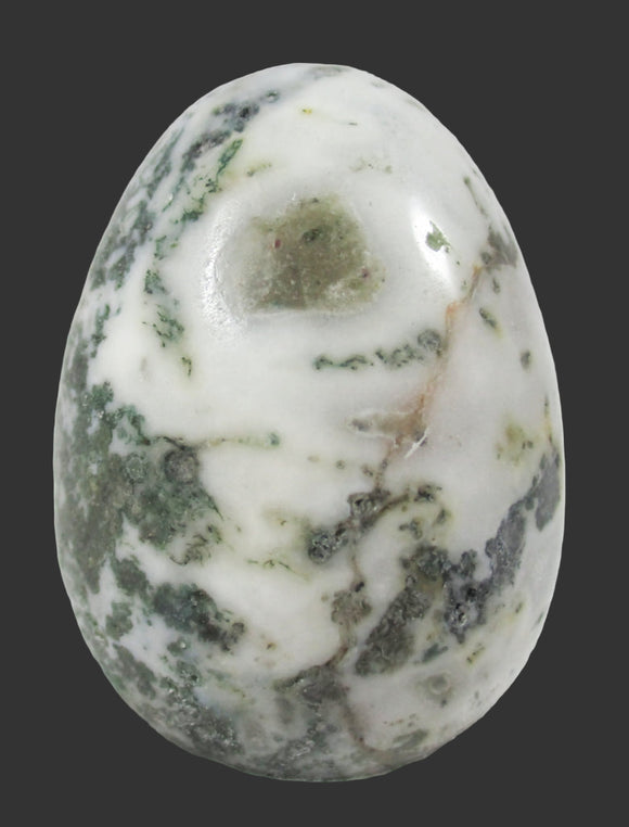 Tree Jasper Crystal Egg | Crystal Carvings | Polished Crystal Eggs