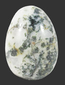 Tree Jasper Crystal Egg | Crystal Carvings | Polished Crystal Eggs