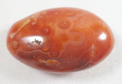Rough Carnelian Stone Thumb Pebble | Cut & Polished Crystals | Polished Crystal Thumb Stones
