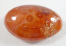 Rough Carnelian Stone Thumb Pebble | Cut & Polished Crystals | Polished Crystal Thumb Stones
