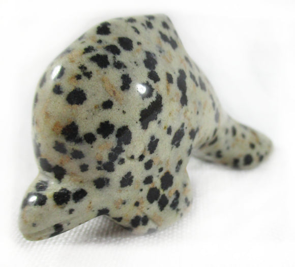 Dalmation Jasper Dolphin | Crystal Carvings | Carved Crystal Animals