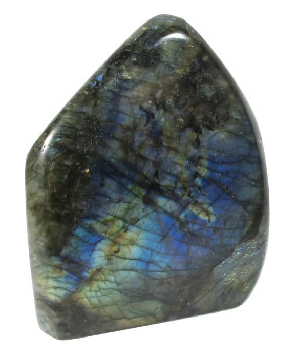 Blue Gold Flash Labradorite Freeform Large | Cut & Polished Crystals | Polished Freeform Crystals