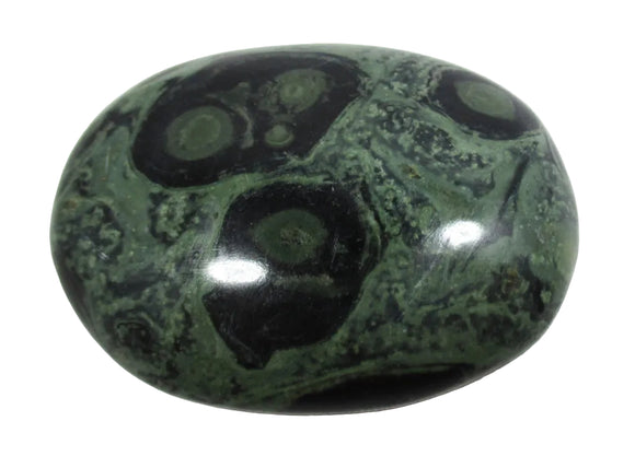 Kambaba Jasper Palm Pebble