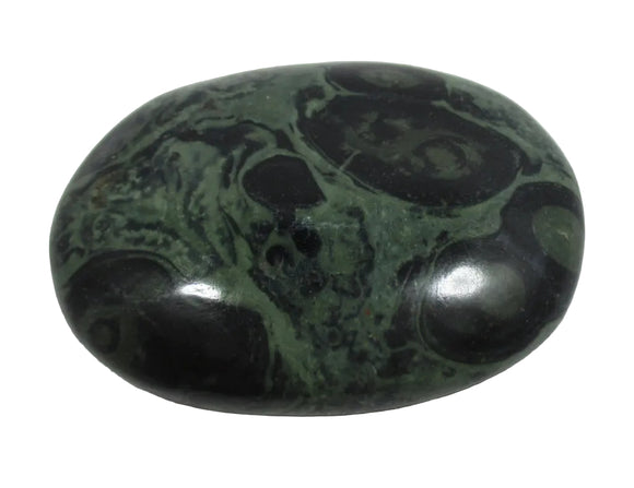 Kambaba Jasper Palm Pebble