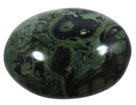 Kambaba Jasper Palm Pebble