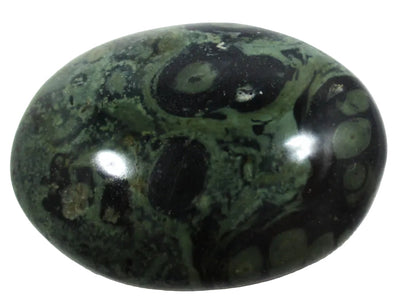 Kambaba Jasper Palm Pebble