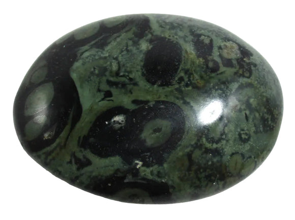 Kambaba Jasper Palm Pebble