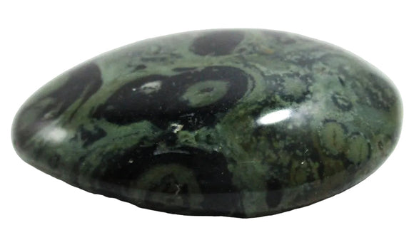 Kambaba Jasper Palm Pebble