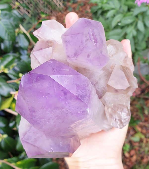 Amethyst Cluster Large - Natural Crystals > Natural Crystal Clusters