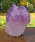 Amethyst Standing Natural Point Cluster - 2