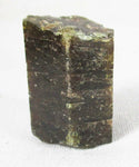 Apatite Rod Section - 1
