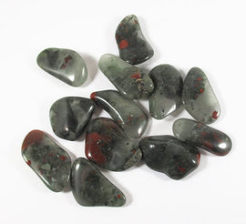 Bloodstone Healing Crystal Tumble Stones Flat (x3) | Cut & Polished Crystals | Polished Crystal Tumble Stones