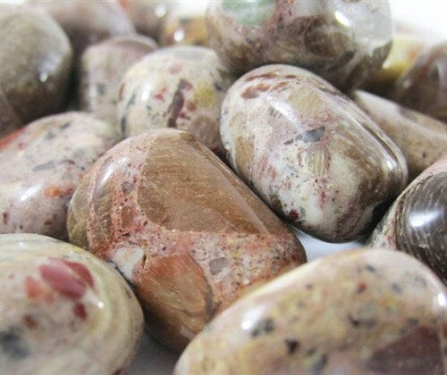 Brecciated Jasper Healing Crystal Tumble Stones (x3) | Cut & Polished Crystals | Polished Crystal Tumble Stones